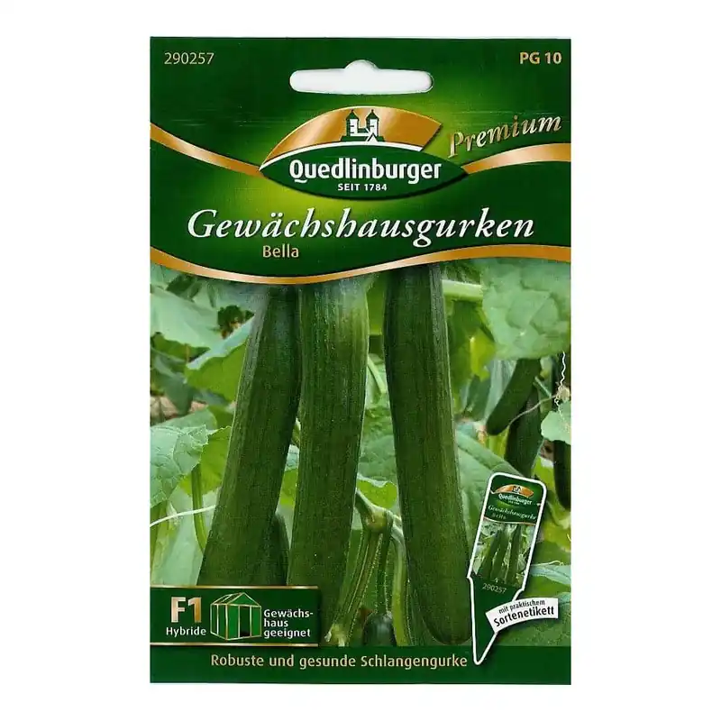 Knallerangebot Gewächshausgurke, Bella F1, Schlangengurke, ertragreich